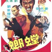 Shaolin mantis poster d97c4ed2c5ebd79a940af8622b6f952f