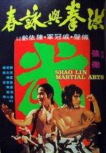 Shaolin martial arts e8d6b5fe98ac250ba346ab6ae66f8e9f