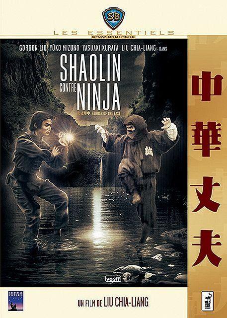 Shaolin vs ninja