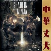Shaolin vs ninja